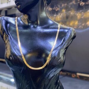 سلسلة ظهر الحيه